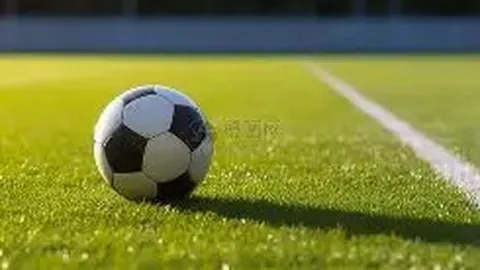 勒沃库森逆转门兴，维尔茨梅开二度立功